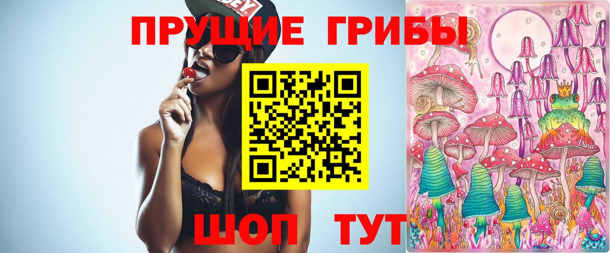 Псилоцибиновые грибы Psilocybe Саки